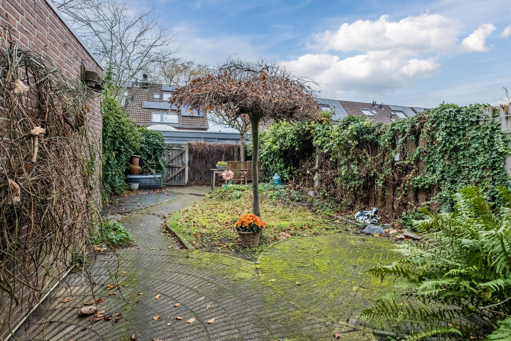 Foto 15 van Vrouwe Cecilialaan 25