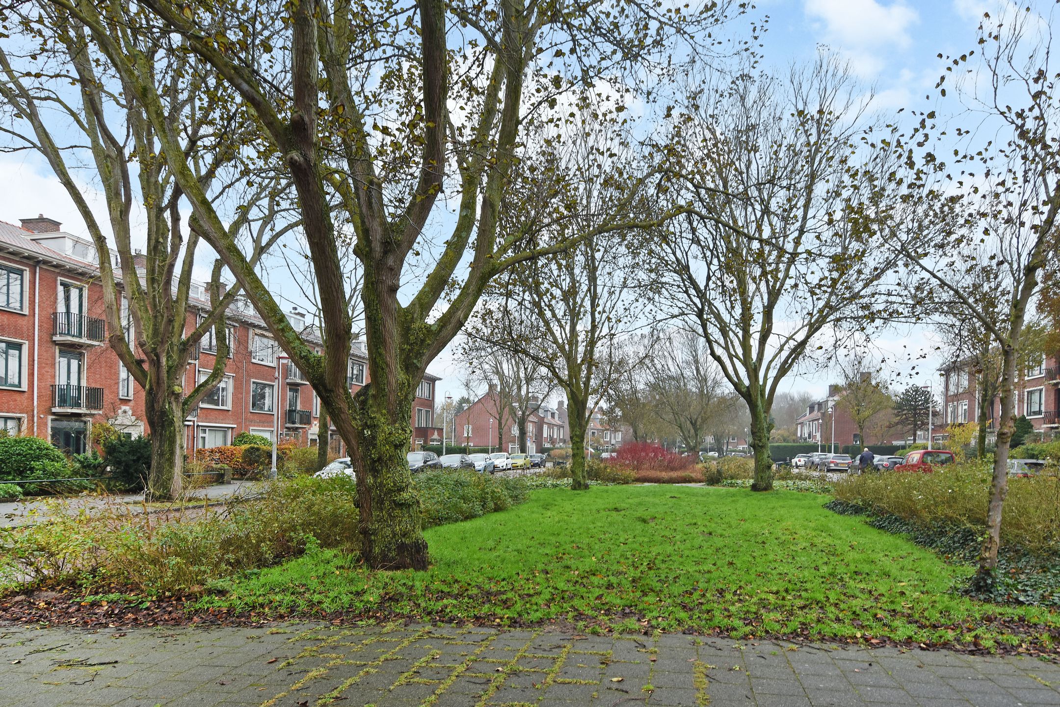 Foto 45 van Tortellaan 18