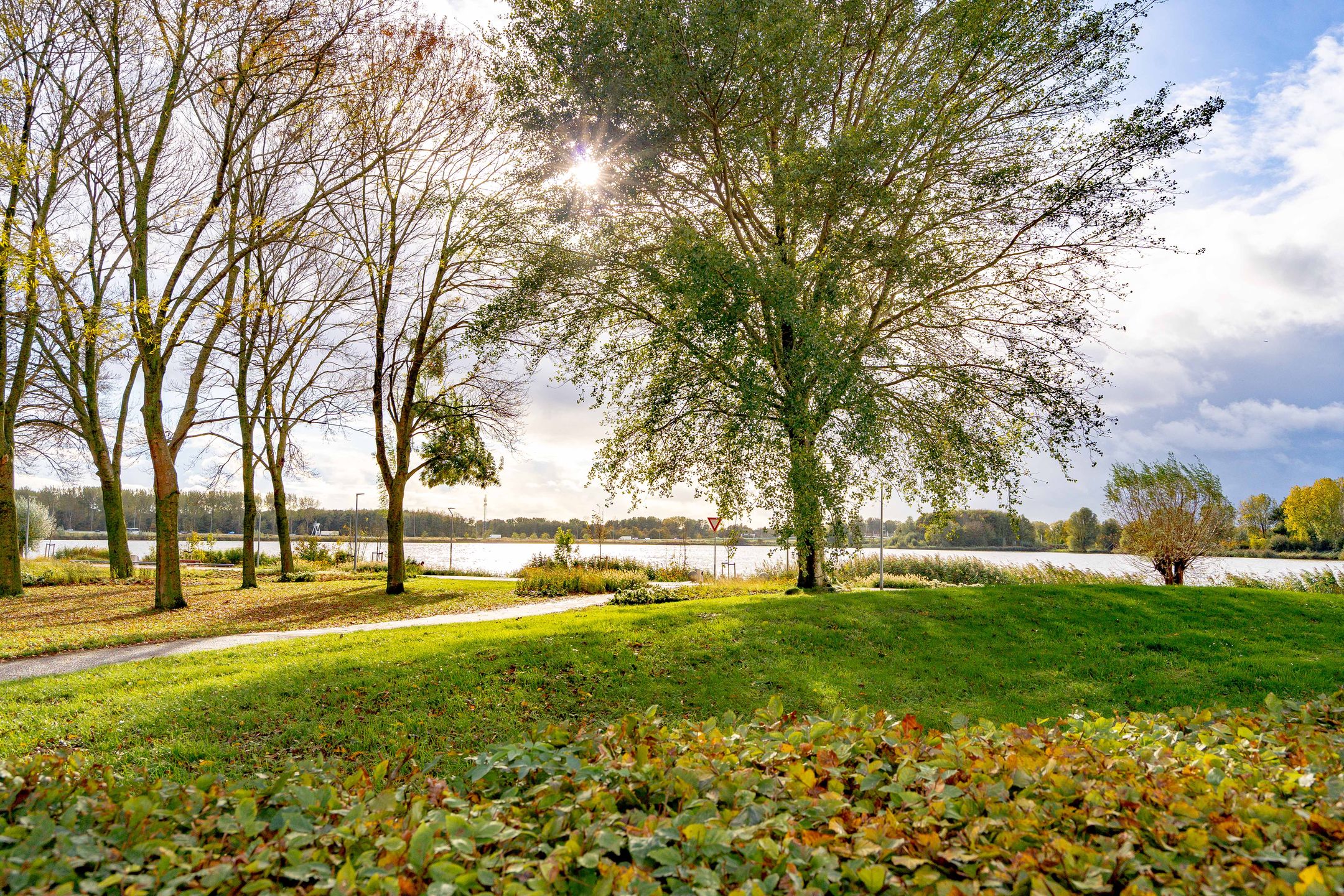 Foto 36 van Fellinilaan 326