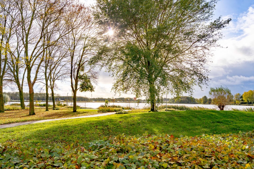 Foto 47 van Fellinilaan 326