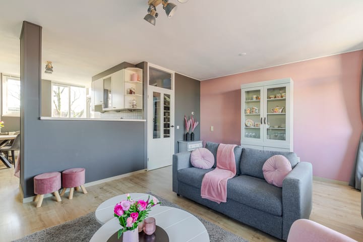 Foto 2 van Druivegaarde 41