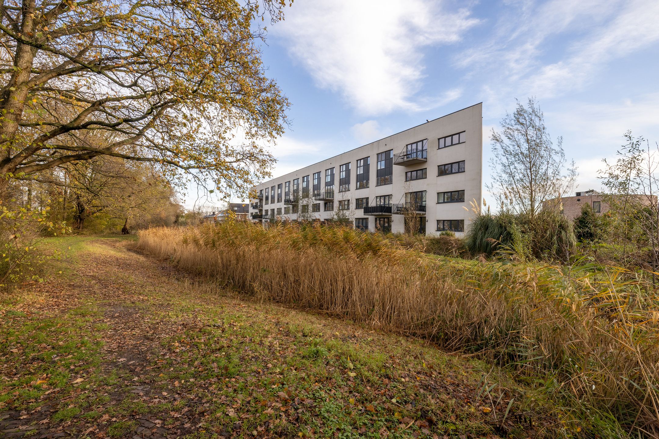 Foto 33 van Martinus Nijhoffweg 245