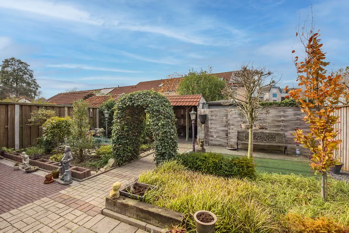 Foto 4 van Baardgras 2