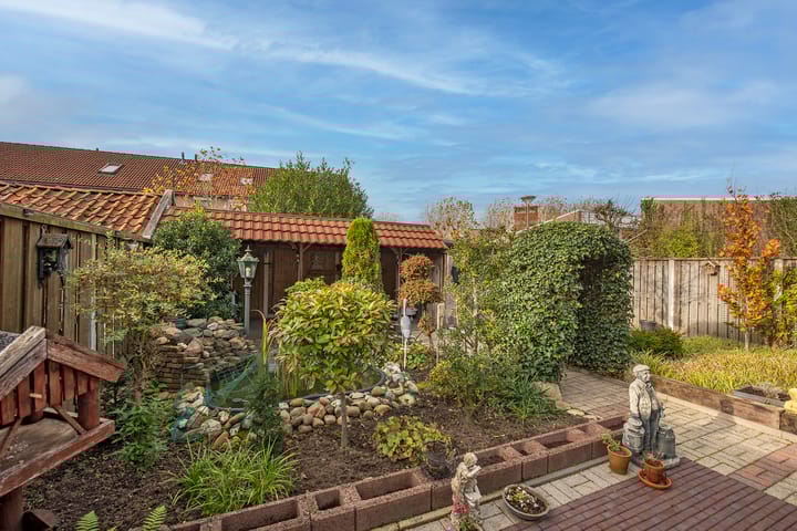 Foto 19 van Baardgras 2