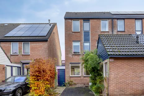 undefined main image