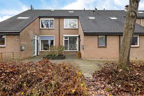 undefined main image