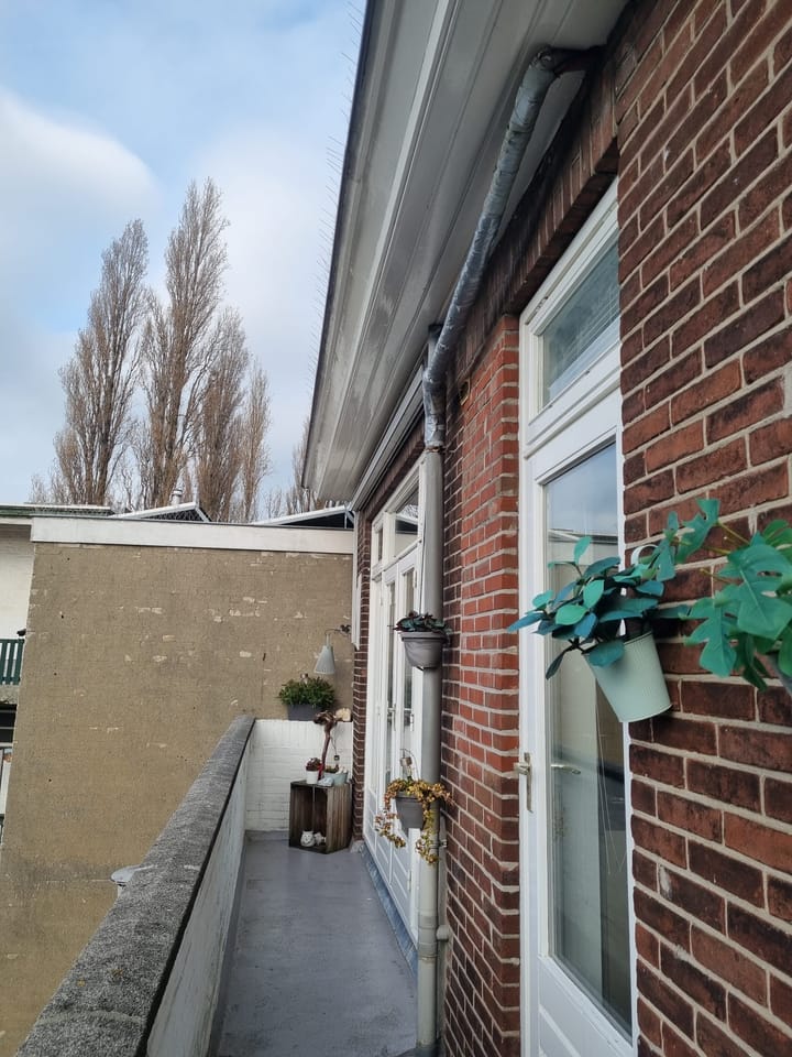 Foto 36 van Vaartweg 84