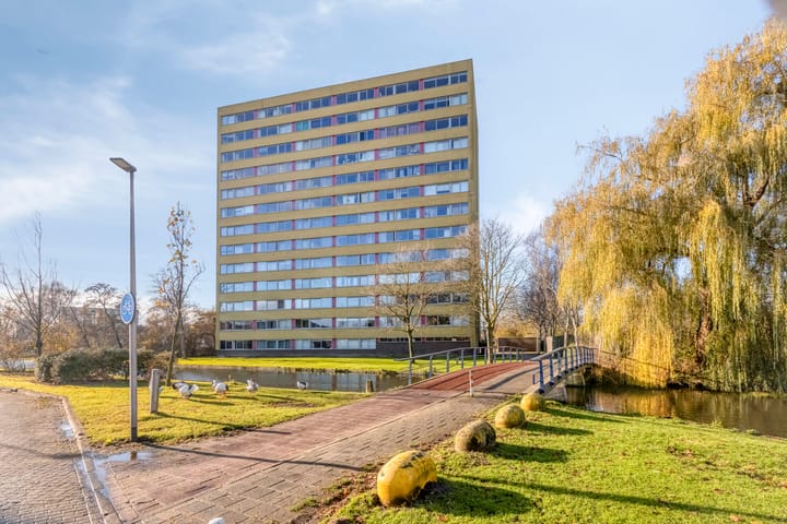 Foto 4 van Boeierstraat 341