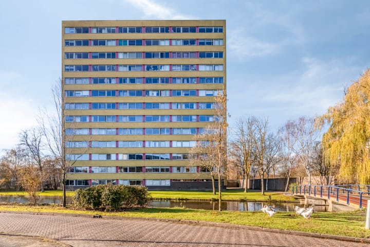 Foto 5 van Boeierstraat 341