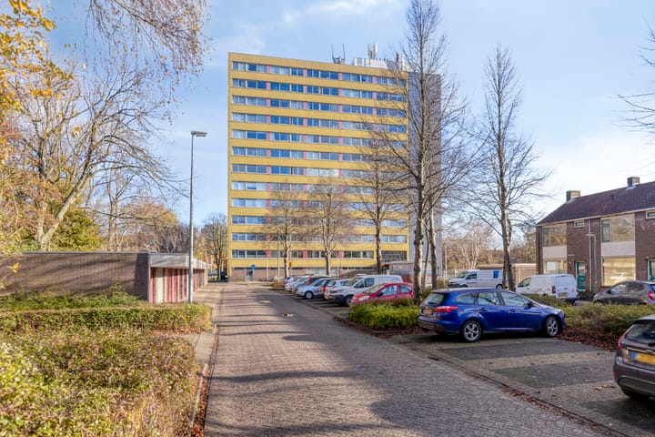 Foto 21 van Boeierstraat 341