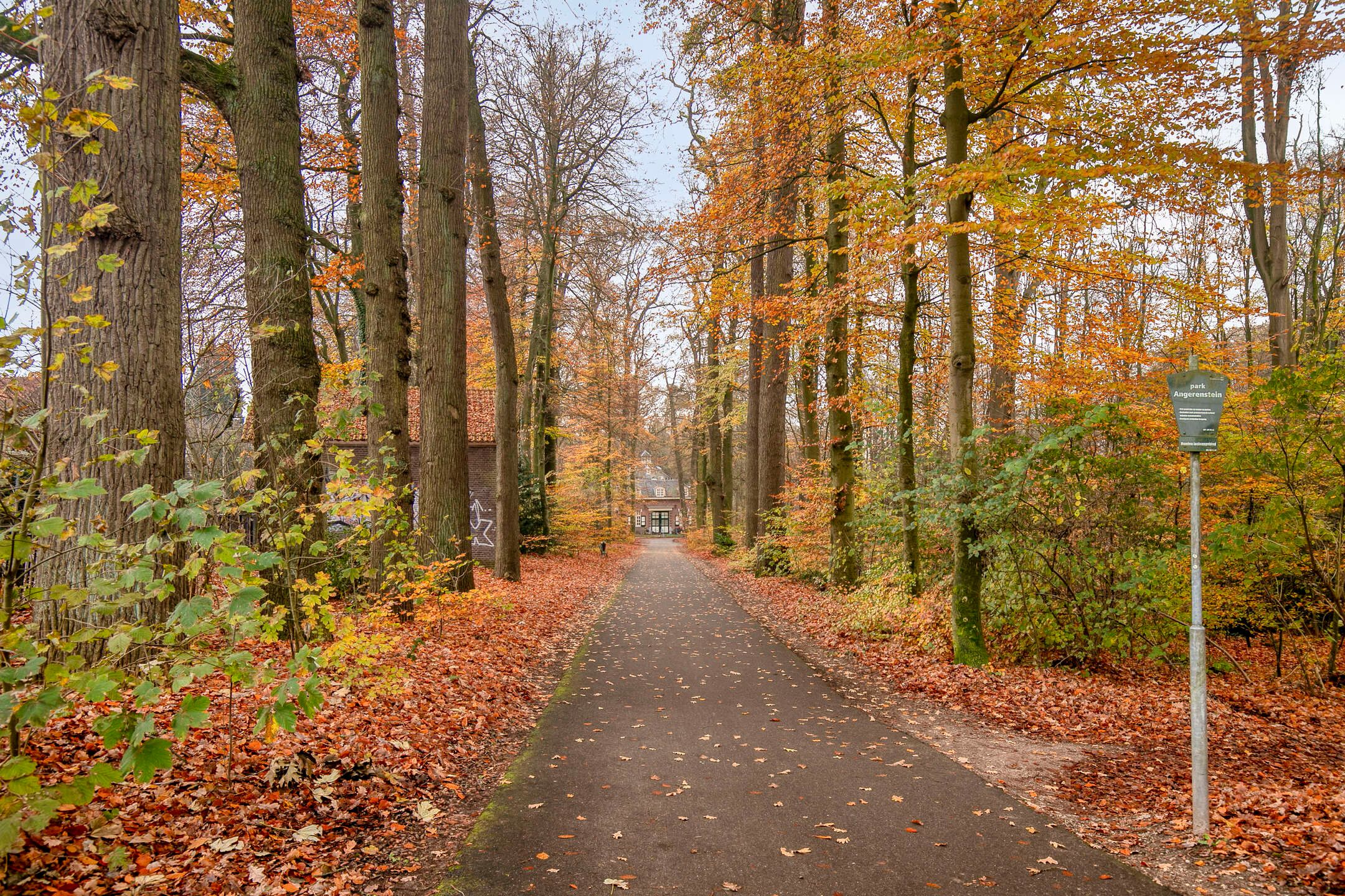 Foto 18 van Pastoor van de Loolaan 7-4