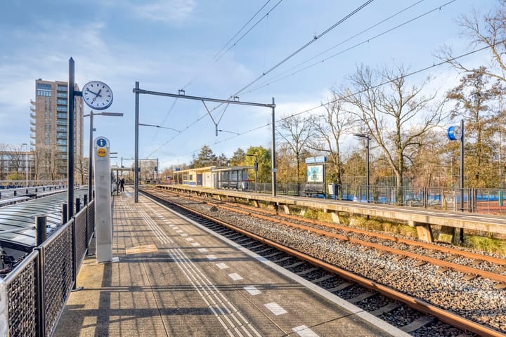 Foto 22 van Boeierstraat 341