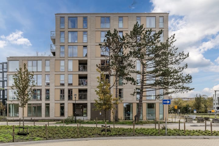 Sabapad 46 main image