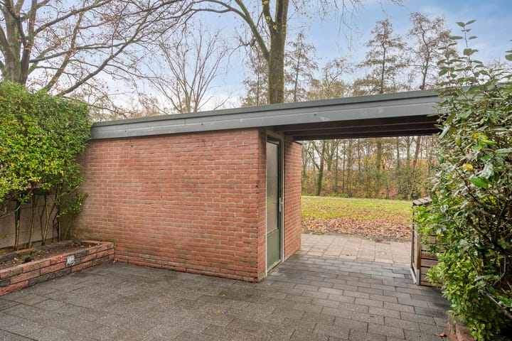 Photo 46 of Houtsnijdershorst 813