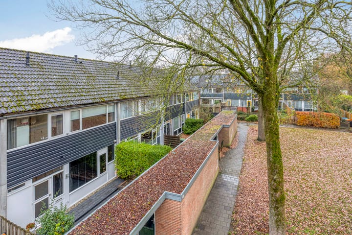 Photo 50 of Houtsnijdershorst 813