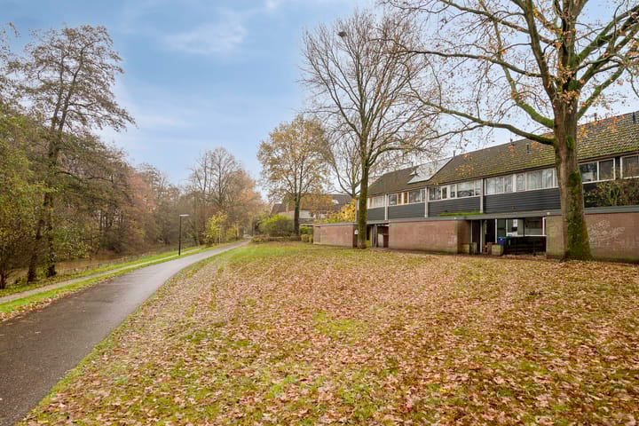 Photo 51 of Houtsnijdershorst 813