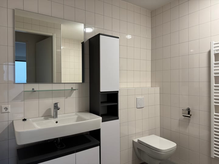 Foto 5 van Aalscholverpad 177