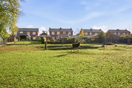 Dorpsstraat 11 tertiary image