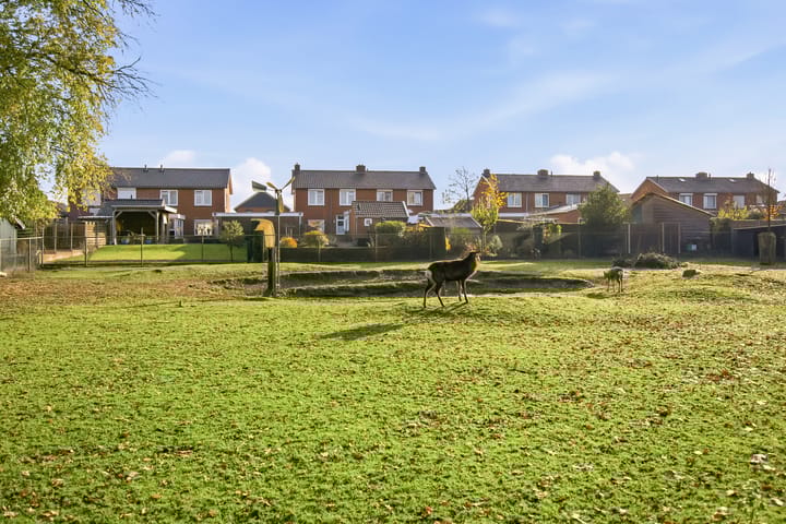 Photo 41 of Dorpsstraat 11