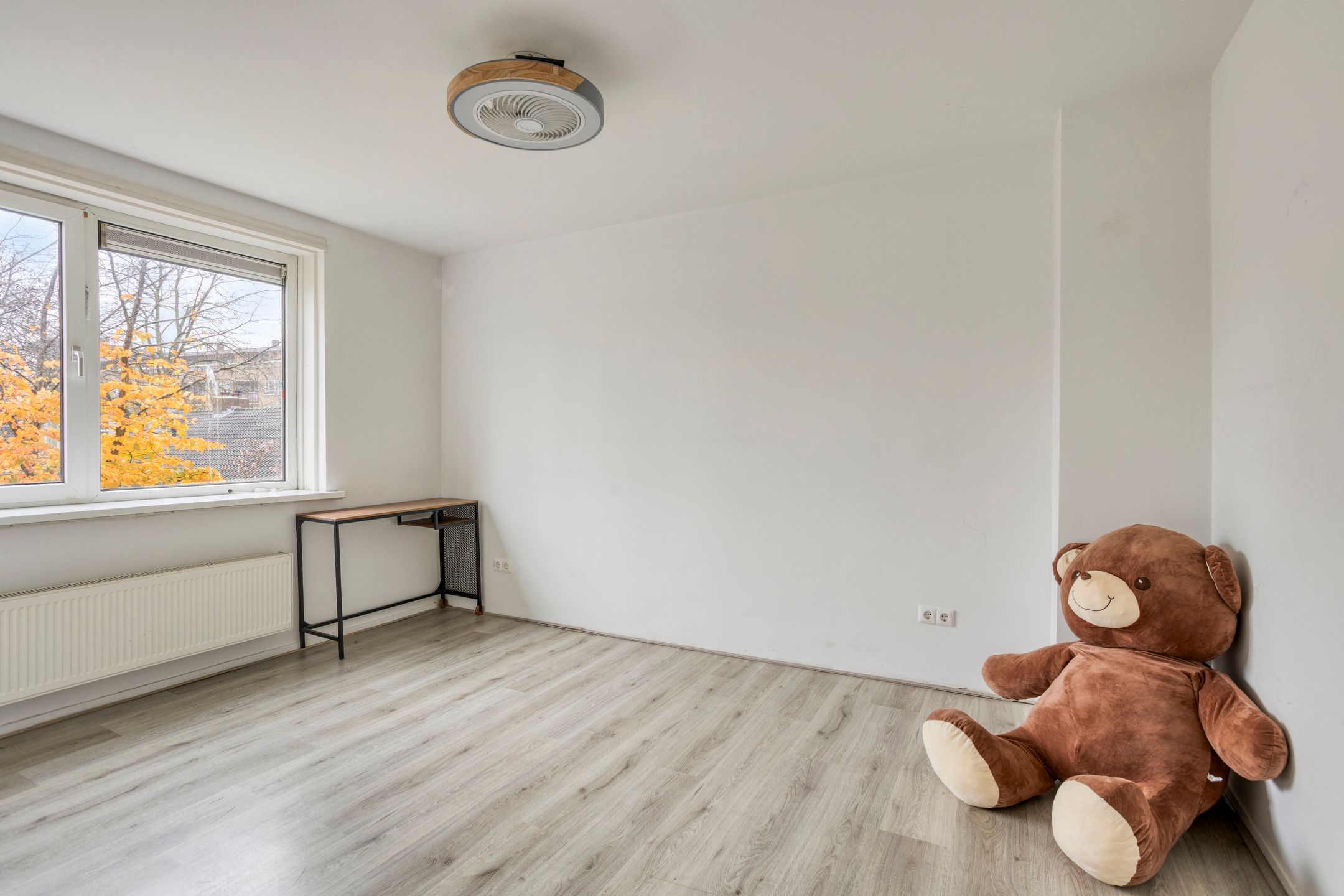 Photo 15 of Pierre Cuypershof 12