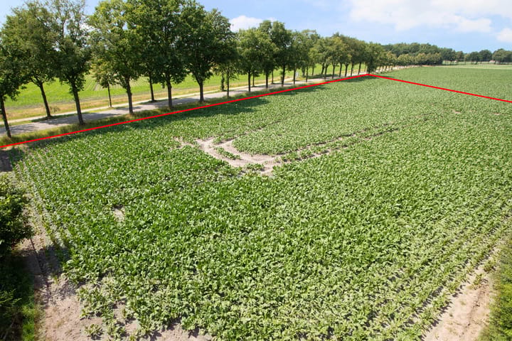 Foto 13 van Broekenseind 3