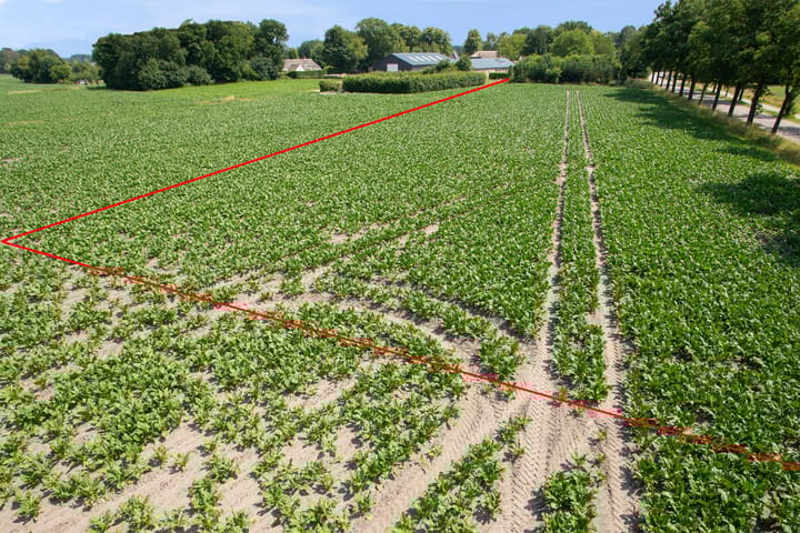 Foto 14 van Broekenseind 3