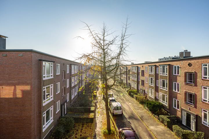 Foto 15 van Rivierenhof 66