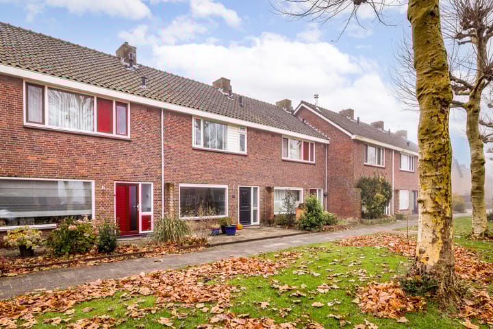 Foto 5 van La Reinelaan 101