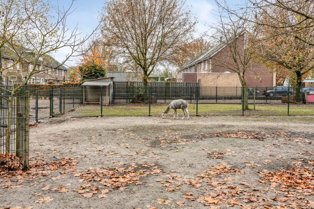 Photo 47 of Pastoor Janssenstraat 3