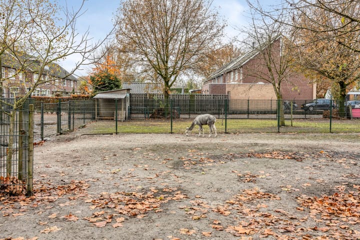 Foto 47 van Pastoor Janssenstraat 3