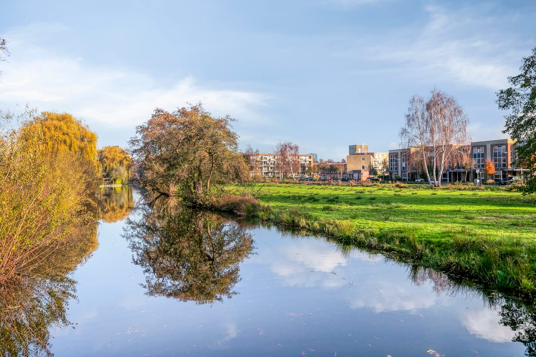 Photo 37 of Jan Steenstraat 54