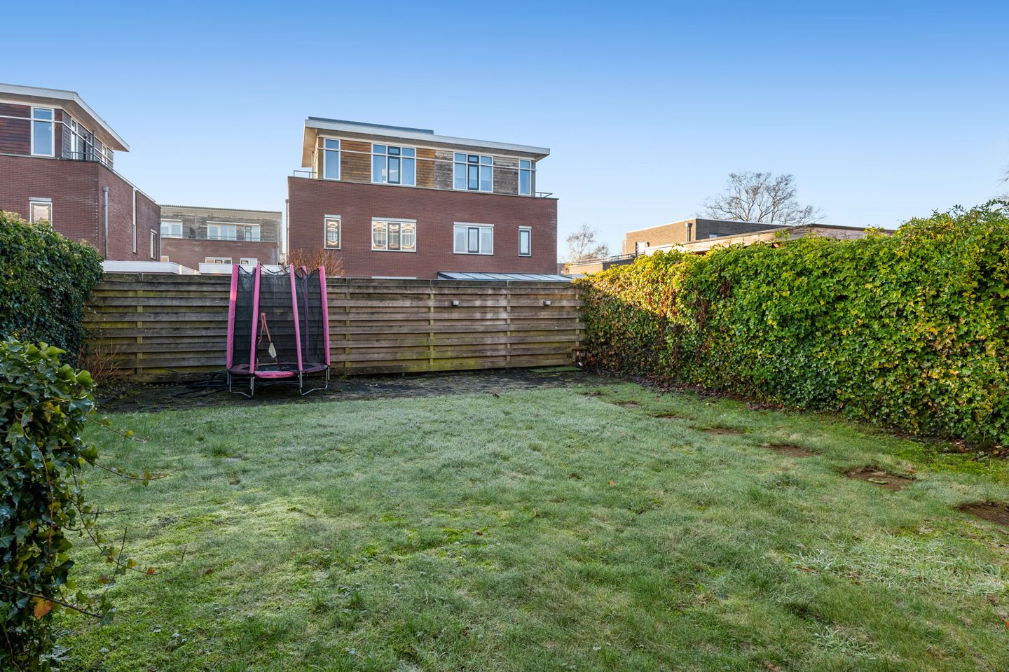 Foto 5 van Zuidhoffstraat 4