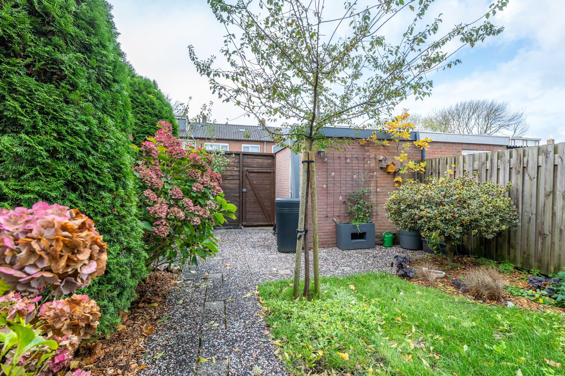 Foto 33 van Camphuysenstraat 24