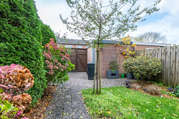 Photo 33 of Camphuysenstraat 24