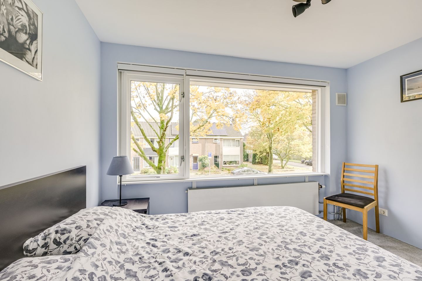 Foto 49 van Camphuysenstraat 24