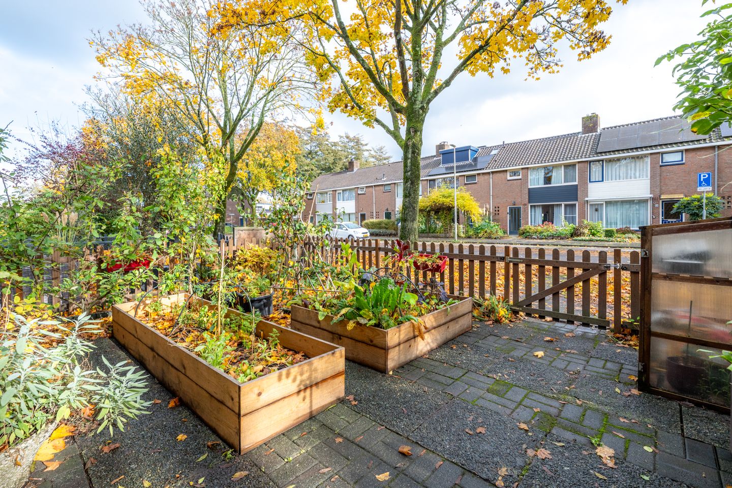 Foto 59 van Camphuysenstraat 24