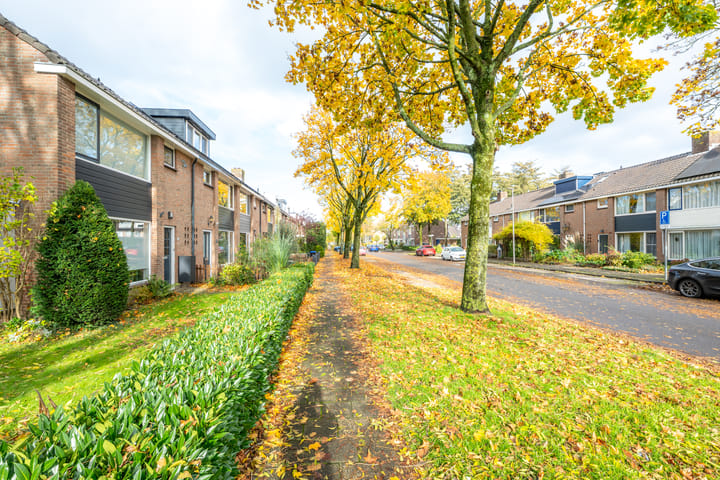 Photo 61 of Camphuysenstraat 24