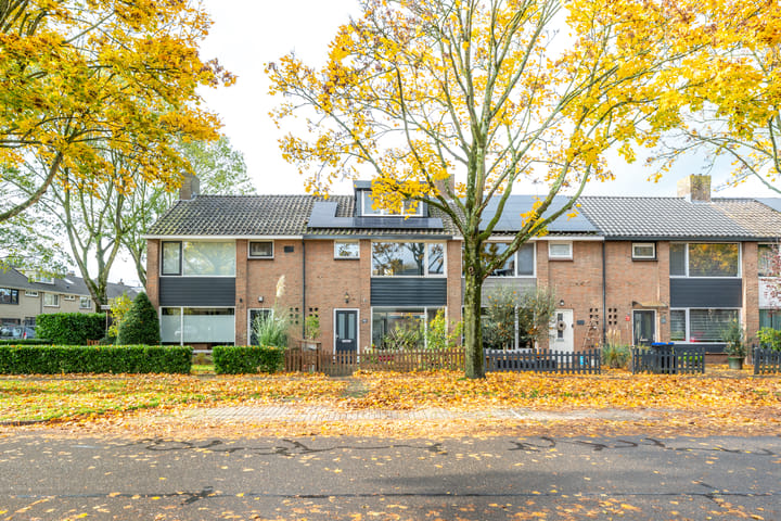 Photo 60 of Camphuysenstraat 24