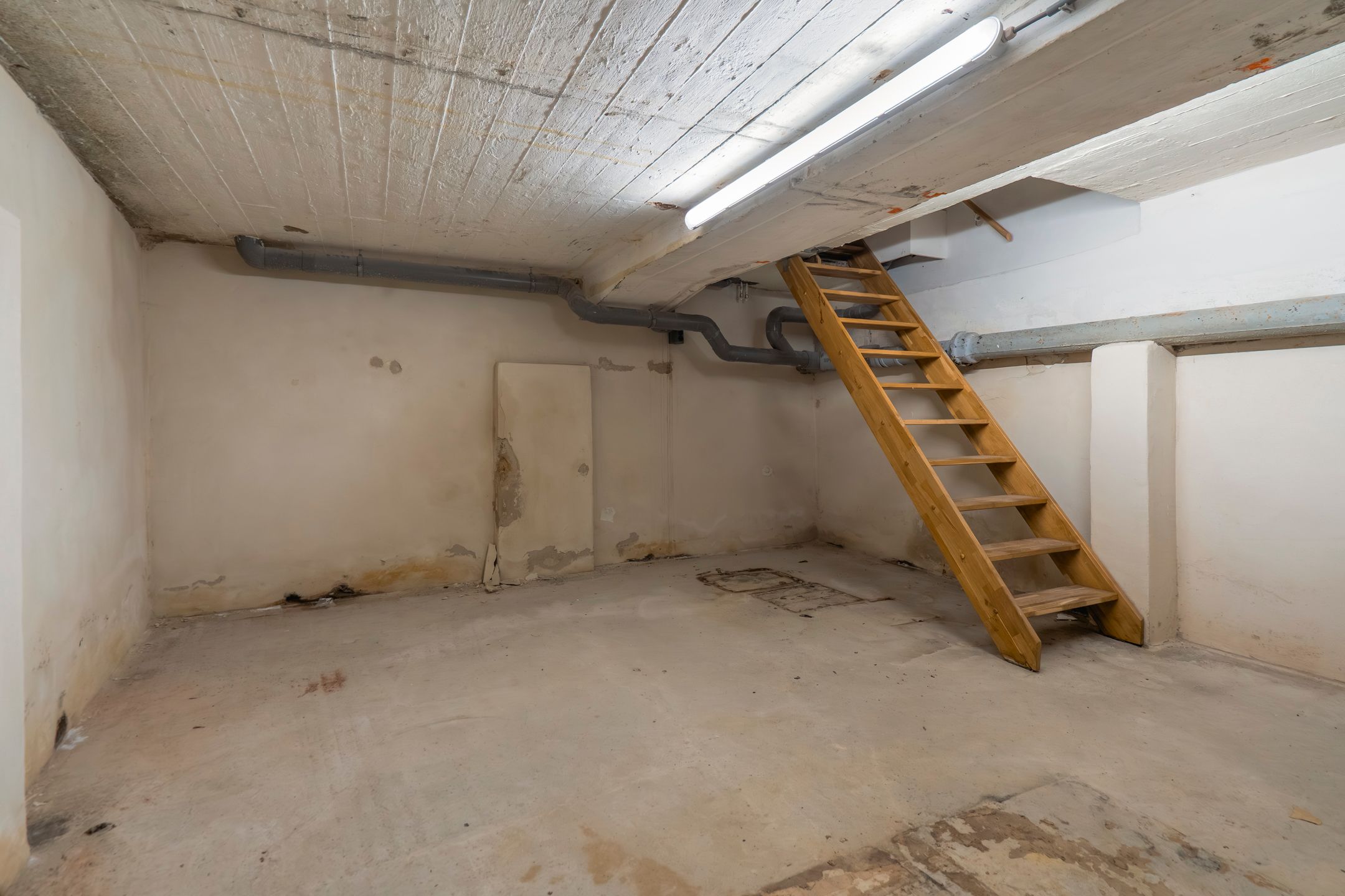 Photo 24 of Frankestraat 31