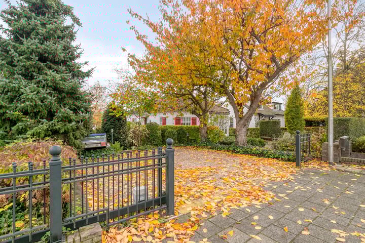 Photo 41 of Rodenrijseweg 349