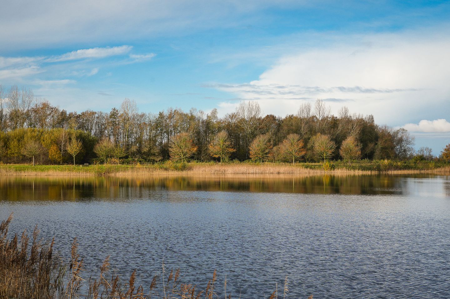 Photo 50 of Wellerwaard 16