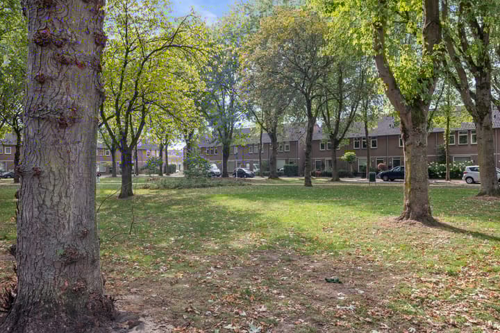 Foto 44 van Hoogvensestraat 165