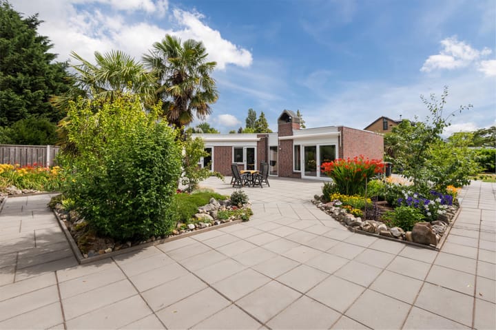 Foto 1 van Botter 37 1