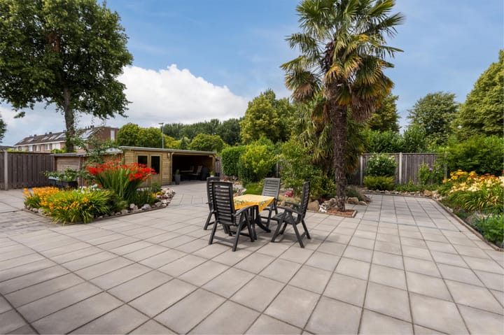 Foto 6 van Botter 37 1