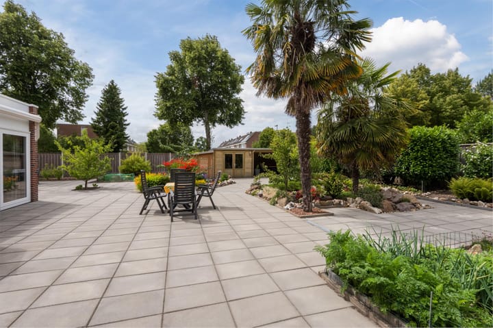 Foto 7 van Botter 37 1