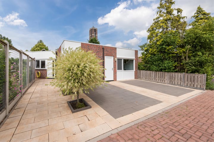 Foto 10 van Botter 37 1