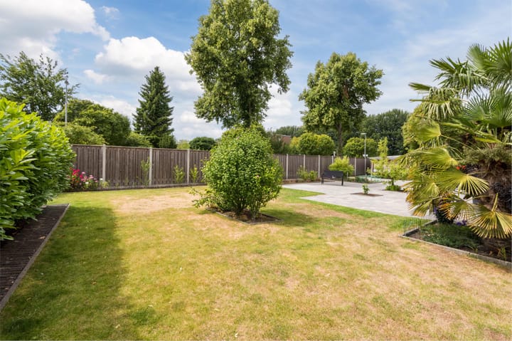 Foto 40 van Botter 37 1