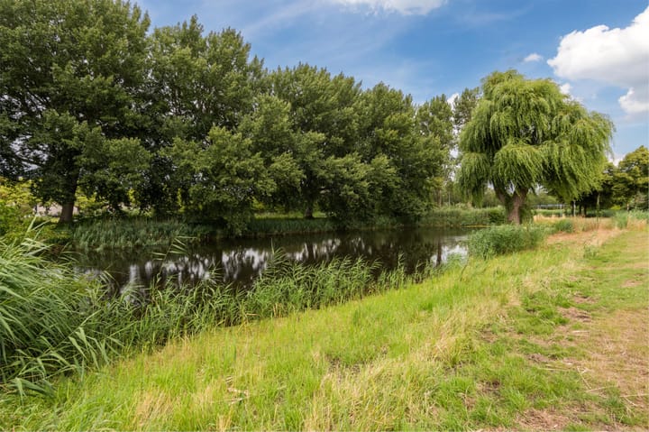 Foto 45 van Botter 37 1