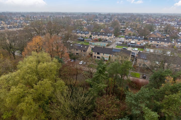 Foto 53 van de Klencke 18