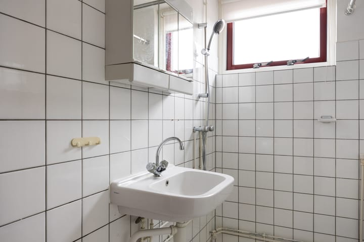 Foto 33 van Fazant 9